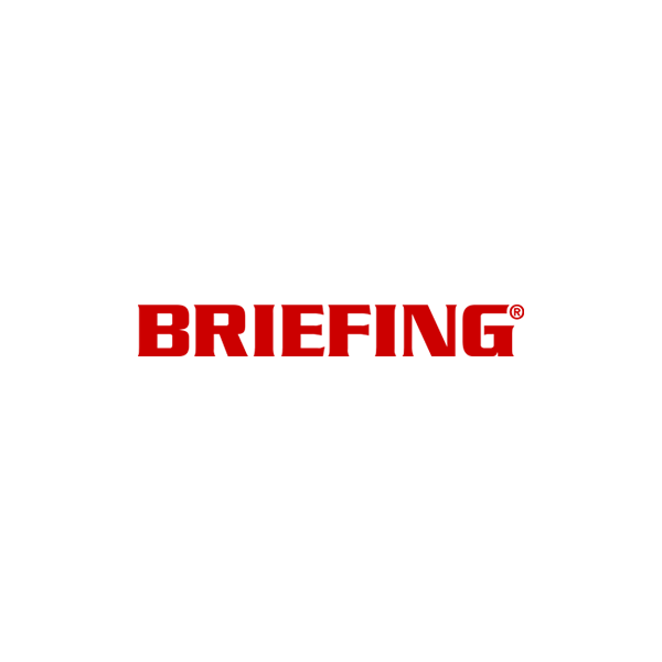 BRIEFING