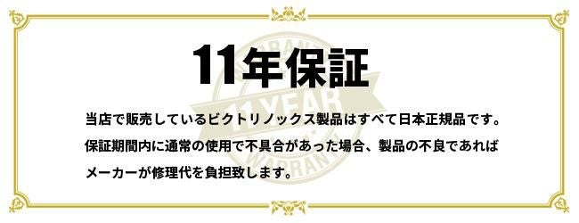 ビクトリノックス アルトモント ビジネスリュック Victorinox 602153