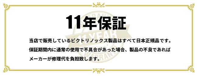 ビクトリノックス アルトモント ビジネスリュック Victorinox 602153