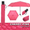 バグスロウ×アンベル ベリカル 折りたたみ傘 自動開閉 Amvel VERYKAL bugSlaw A1553