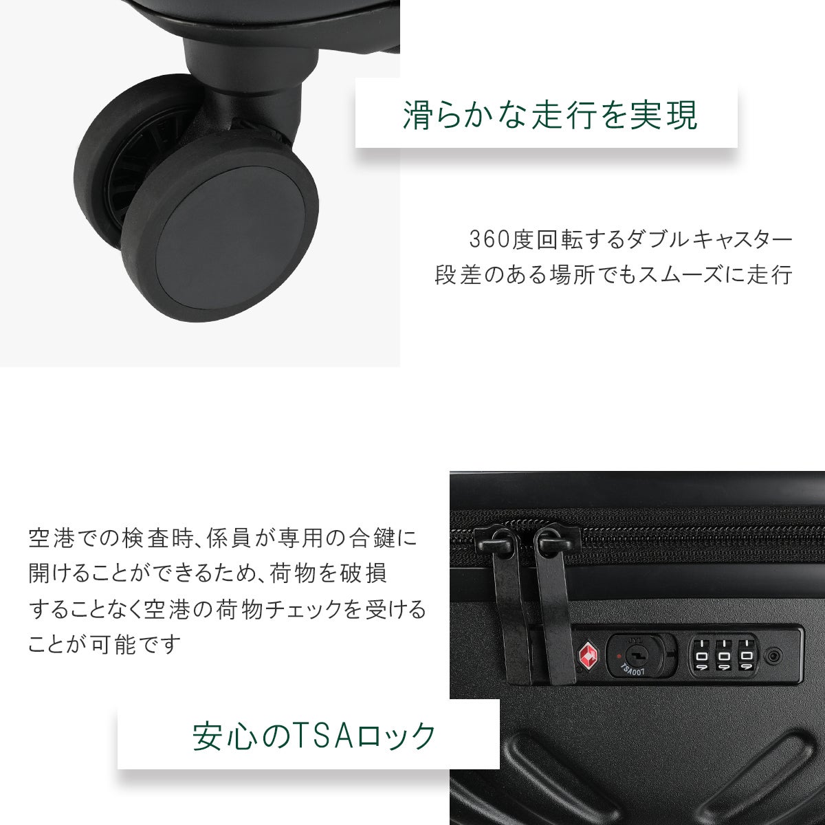 ACE ラディアル スーツケース  ace-06972