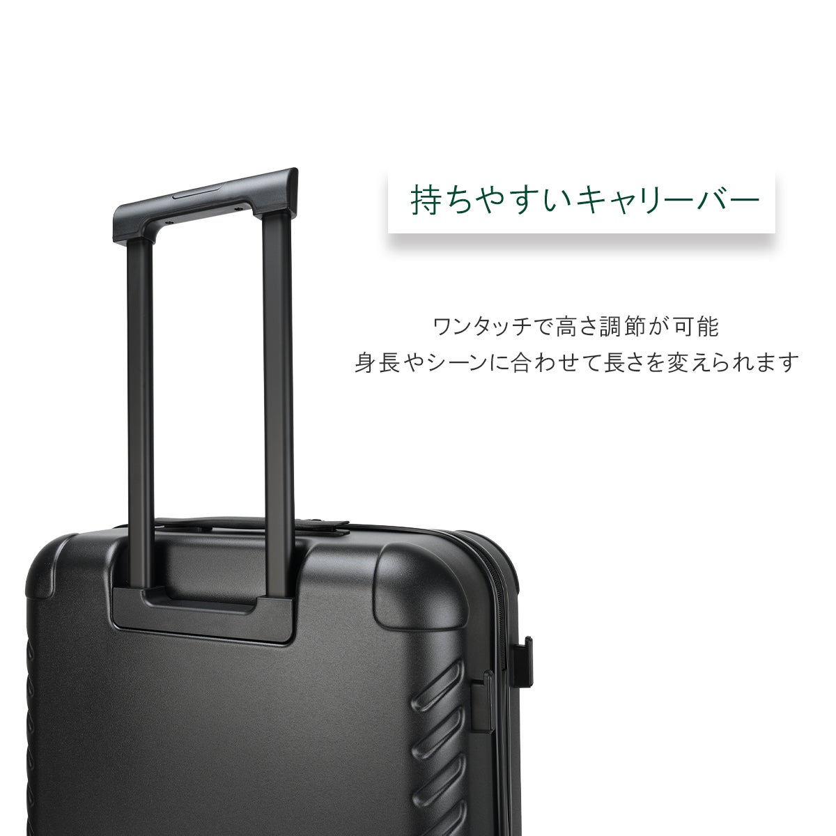 ACE ラディアル スーツケース  ace-06972