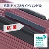 アジアラゲージ ガーレ スーツケース A.L.I ali-6020-24w