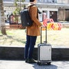 バーマス インターシティプラス スーツケース BERMAS bermas-60505