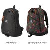 グレゴリー クラシック リュック GREGORY daypack