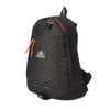 グレゴリー クラシック リュック GREGORY daypack