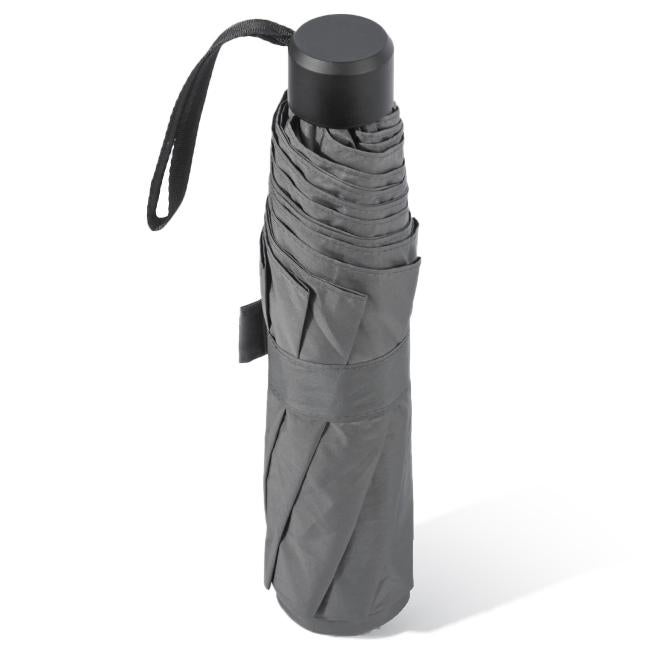 ウォーターフロント 富山サンダー 傘  u370-0819