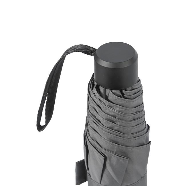 ウォーターフロント 富山サンダー 傘  u370-0819