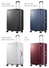 トーキョーレーベル パリセイド3-F スーツケース ace. TOKYO LABEL tokyo-05054