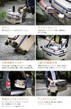 トーキョーレーベル テオフィールド スーツケース ace. TOKYO LABEL tokyo-05162