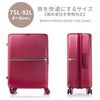 サムソナイト ミンター スーツケース Samsonite hh5-002