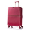 サムソナイト ミンター スーツケース Samsonite hh5-002