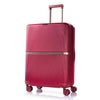 サムソナイト ミンター スーツケース Samsonite hh5-002