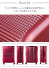 サムソナイト ミンター スーツケース Samsonite hh5-003