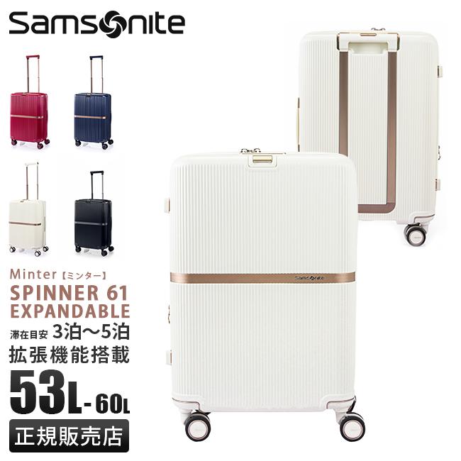 【サムソナイト】american toutister DARTZ spinner65 スーツケース M 59L 新品 TSAロック AMERICAN TOURISTER（アメリカンツーリスター） スーツケース キャリー