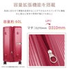サムソナイト ミンター スーツケース Samsonite hh5-006