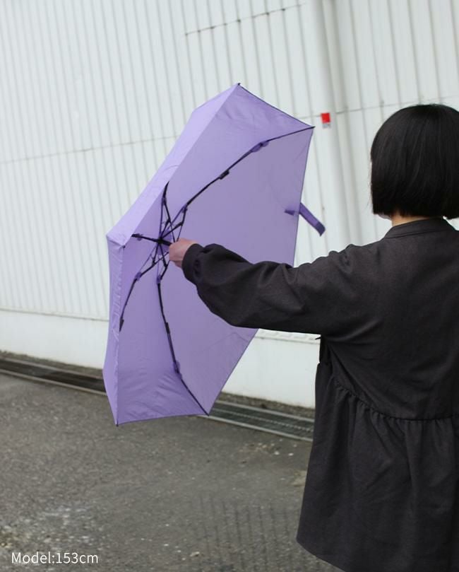 バグスロウ×アンベル オルタナスリム50 折りたたみ傘 スリム 軽量 Amvel ALTERNA SLIM50 bugSlaw A2754