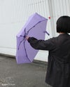 バグスロウ×アンベル オルタナスリム50 折りたたみ傘 スリム 軽量 Amvel ALTERNA SLIM50 bugSlaw A2754