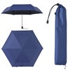 バグスロウ×アンベル ベリカルラージ フラット 折りたたみ傘 全天候型 晴雨兼用 自動開閉 Amvel VERYKAL LARGE Flat bugSlaw A2755