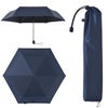 バグスロウ×アンベル ベリカルラージ フラット 折りたたみ傘 全天候型 晴雨兼用 自動開閉 Amvel VERYKAL LARGE Flat bugSlaw A2755