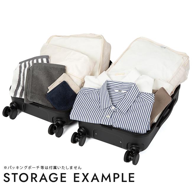 ACE フレットボード スーツケース  ace-05431