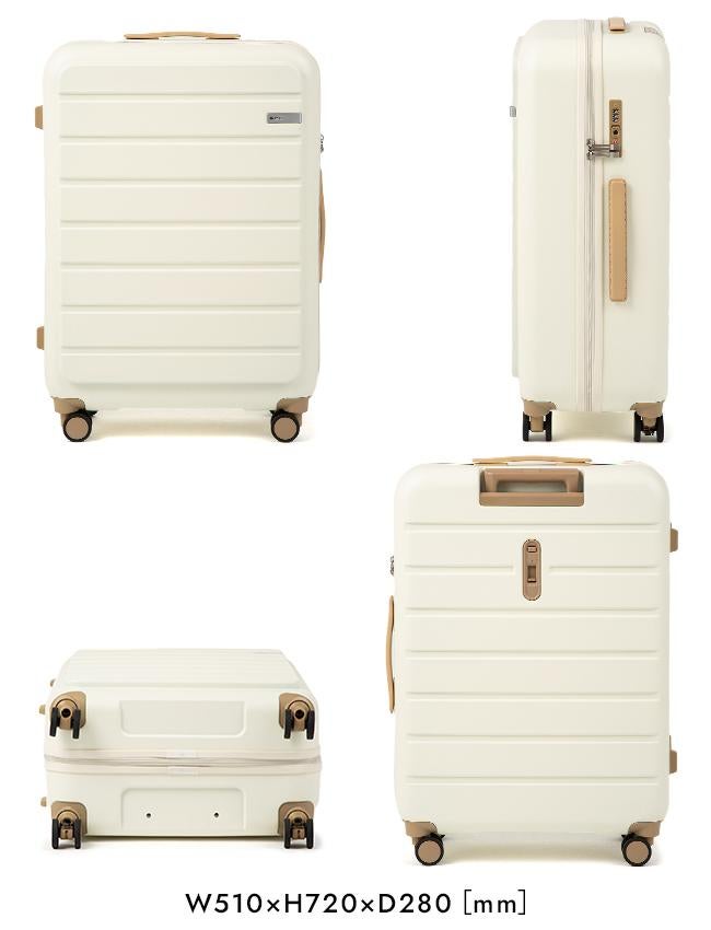 ACE フレットボード スーツケース  ace-05433