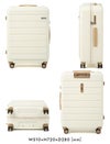 ACE フレットボード スーツケース  ace-05433