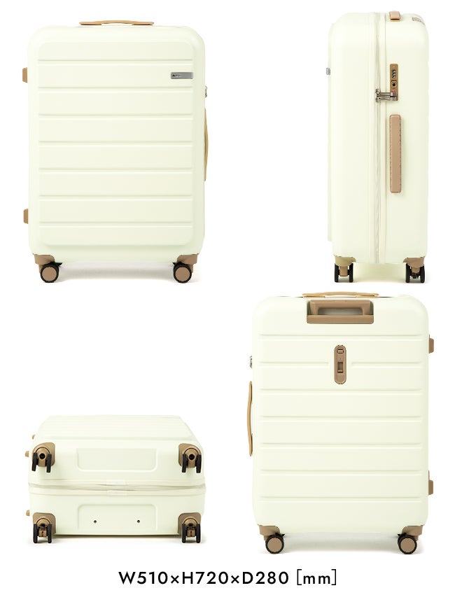 ACE フレットボード スーツケース  ace-05433
