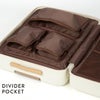 ACE フレットボード スーツケース  ace-05433