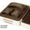 ACE フレットボード スーツケース  ace-05433