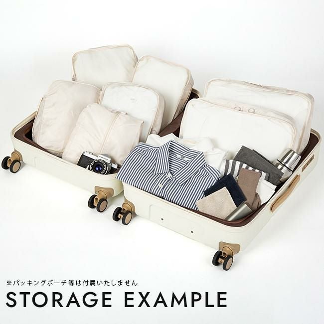 ACE フレットボード スーツケース  ace-05433