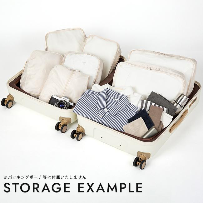 ACE フレットボード スーツケース  ace-05433