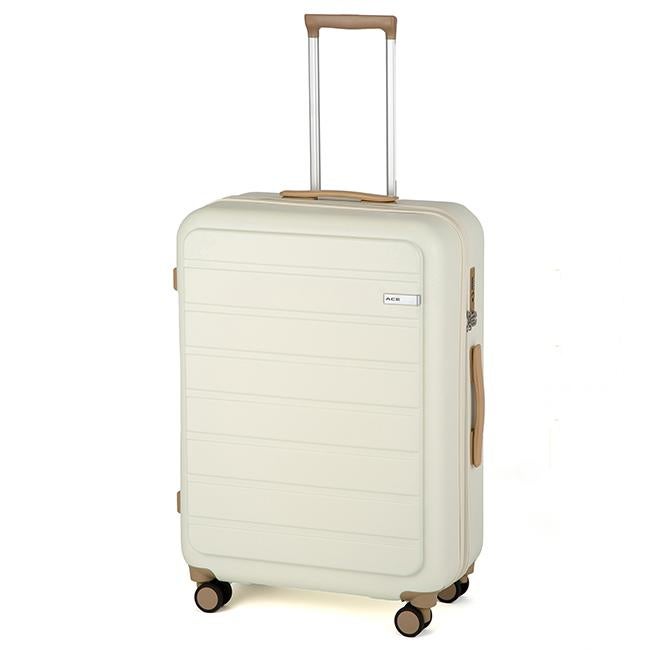 ACE フレットボード スーツケース  ace-05433