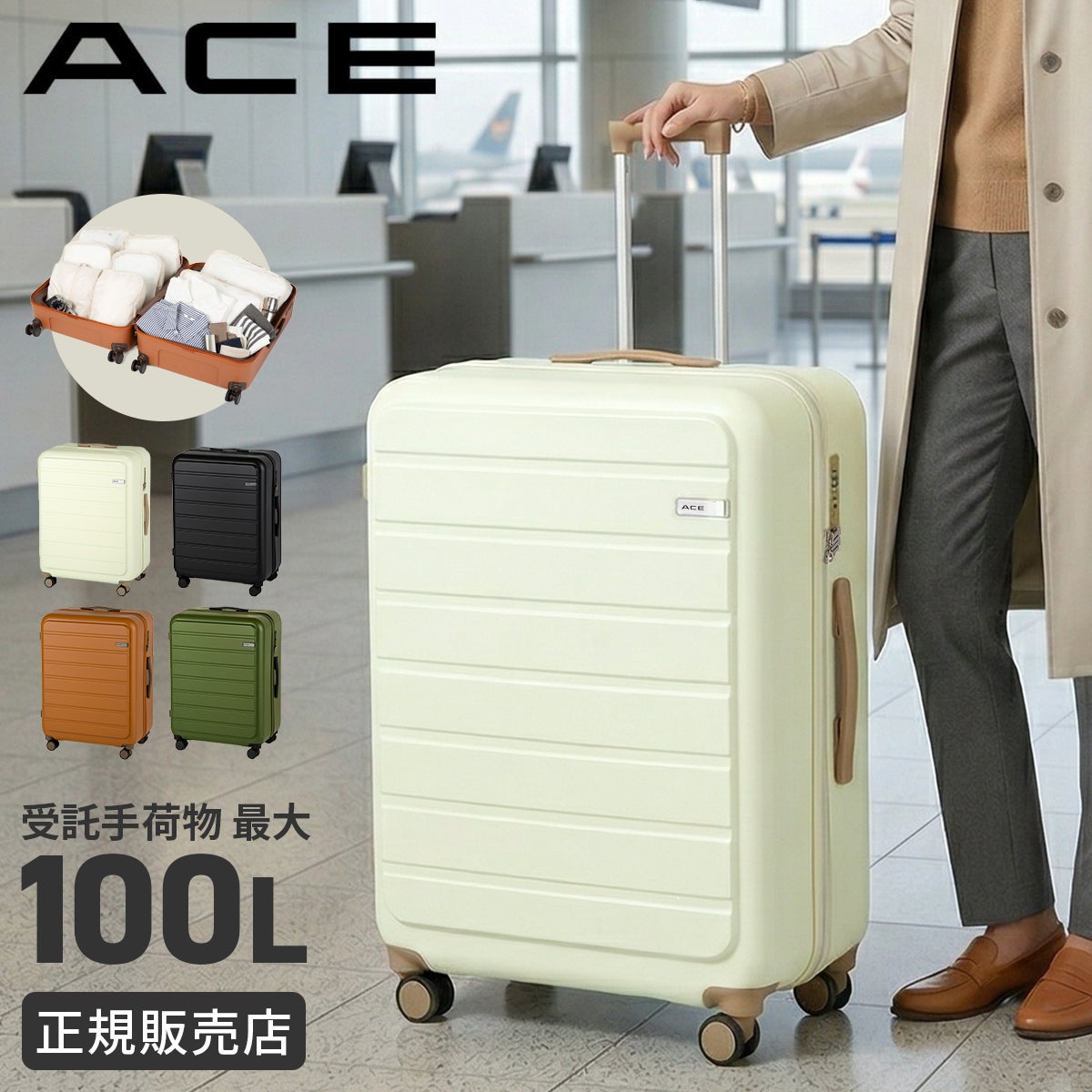 ACE フレットボード スーツケース  ace-05434