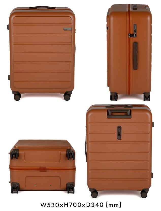 豪華Wノベルティ ACE エース フレットボード スーツケース 100L 05434