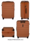ACE フレットボード スーツケース  ace-05434