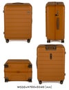 ACE フレットボード スーツケース  ace-05434