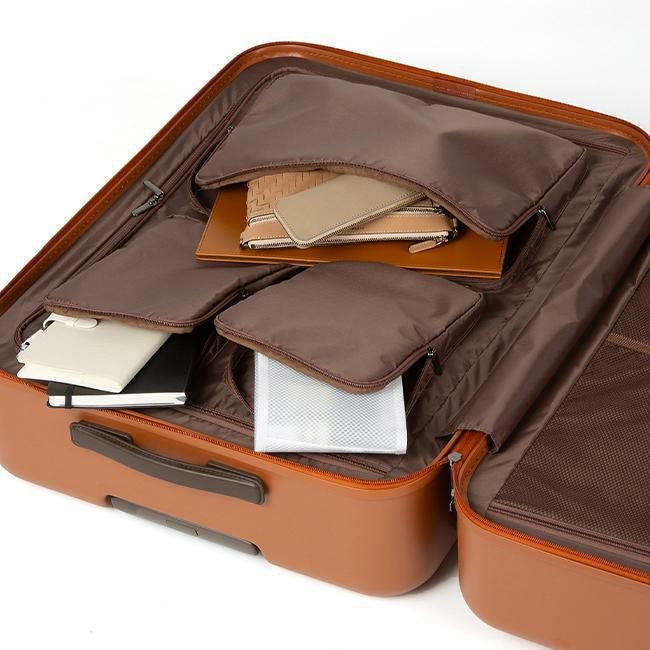 ACE フレットボード スーツケース  ace-05434