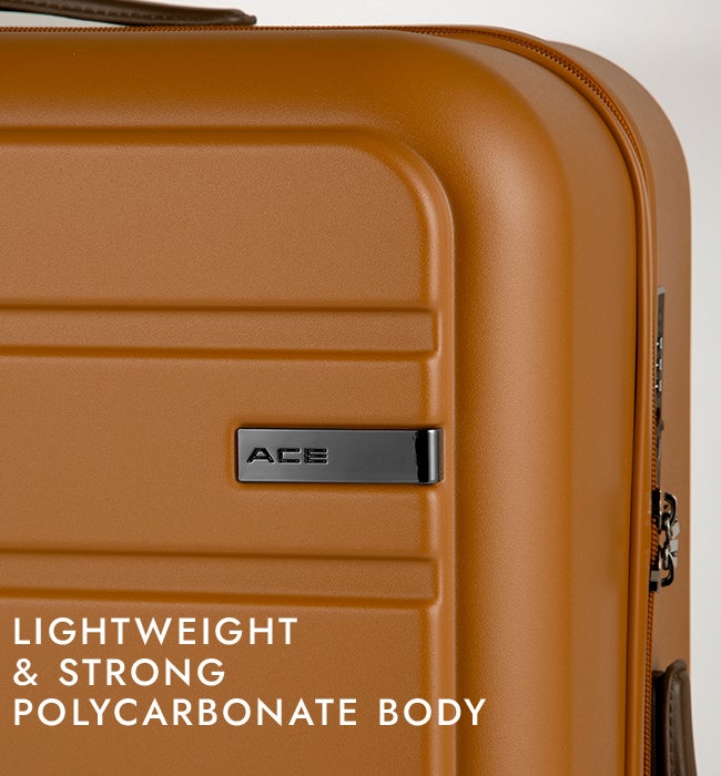 ACE フレットボード スーツケース  ace-05434