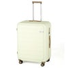 ACE フレットボード スーツケース  ace-05434
