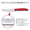 ビクトリノックス マルチツール スイスクラシック  Victorinox knife-case-set