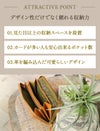 ズッケロ ルイーザ 長財布 zucchero zu-49174