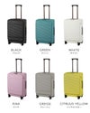 トーキョーレーベル サルートン スーツケース ace. TOKYO LABEL tokyo-05363