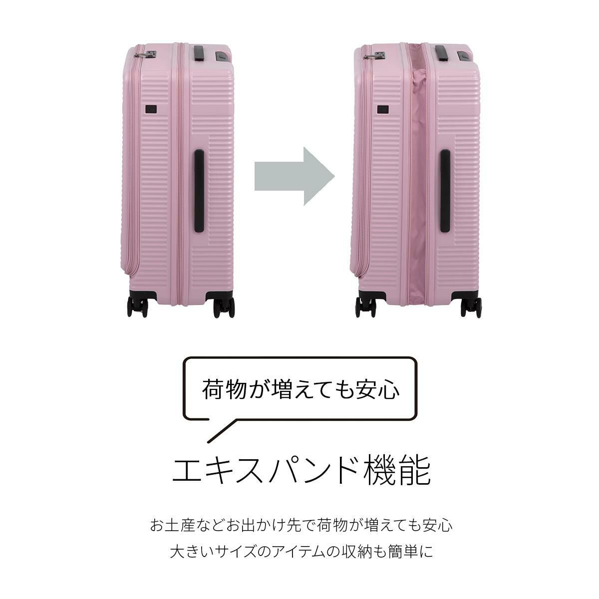 トーキョーレーベル サルートン スーツケース ace. TOKYO LABEL tokyo-05363