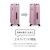 トーキョーレーベル サルートン スーツケース ace. TOKYO LABEL tokyo-05363