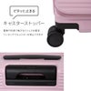 トーキョーレーベル サルートン スーツケース ace. TOKYO LABEL tokyo-05363