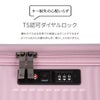 トーキョーレーベル サルートン スーツケース ace. TOKYO LABEL tokyo-05363