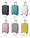 トーキョーレーベル サルートン スーツケース ace. TOKYO LABEL tokyo-05364