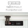 トーキョーレーベル サルートン スーツケース ace. TOKYO LABEL tokyo-05364