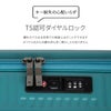 トーキョーレーベル サルートン スーツケース ace. TOKYO LABEL tokyo-05361